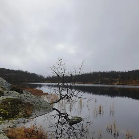 Koselig Pa Beito * Beitostolen