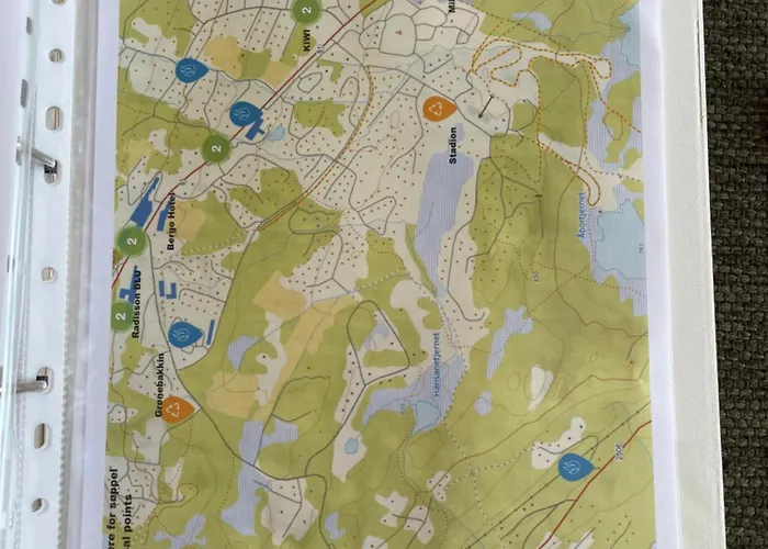 Koselig Pa Beito * Beitostolen